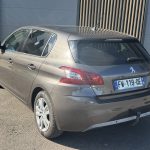 IMG 4420 (1)
