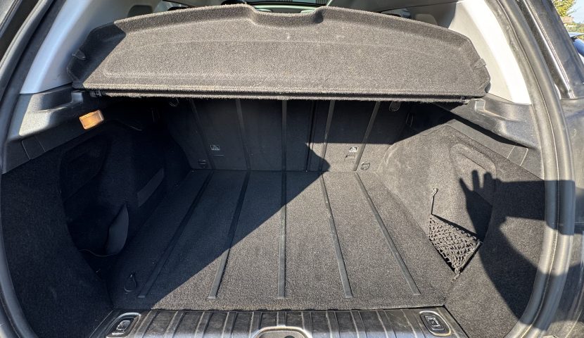 IMG 4442